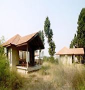 Salvan Resort Bandhavgarh National Park Extérieur photo